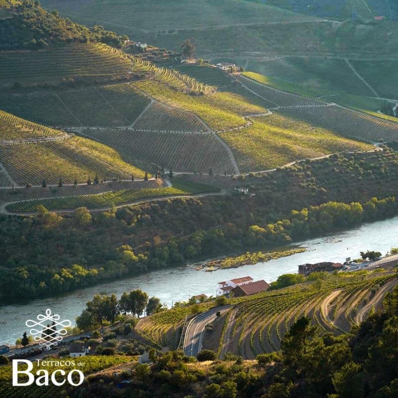 Terracos De Baco Villa Ribalonga Екстериор снимка